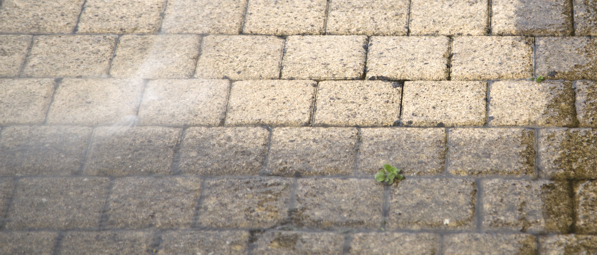 flagging and patios SE13